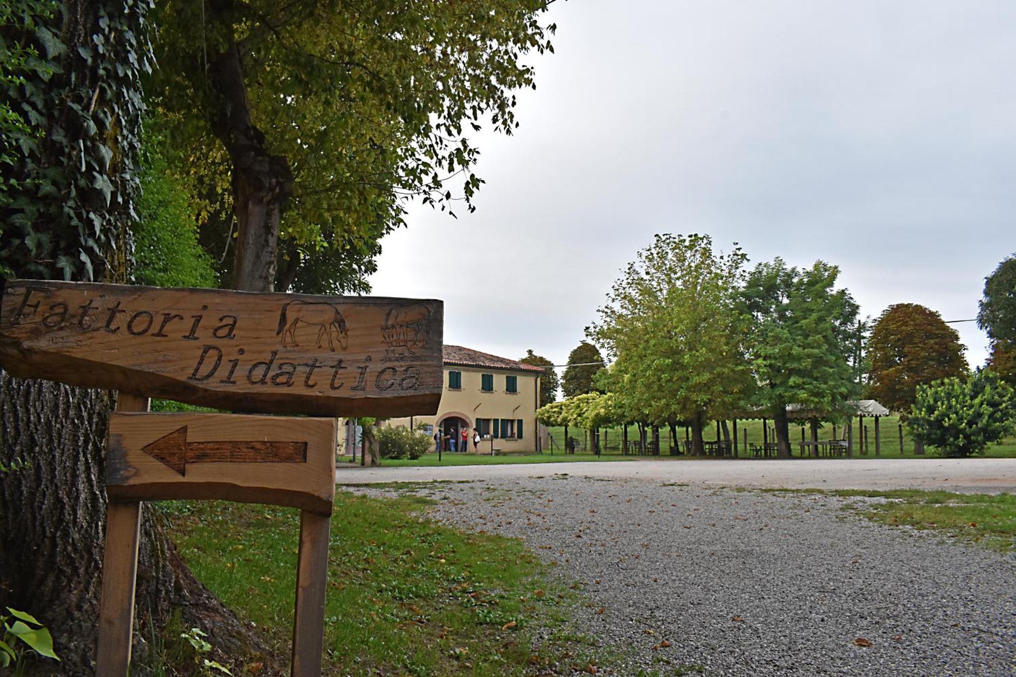 La Tenuta Va Oltre Bovolenta Exterior foto